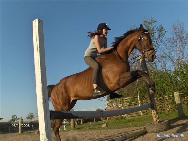 Anden særlig race Bruno, savner dig :'( <3 billede 20