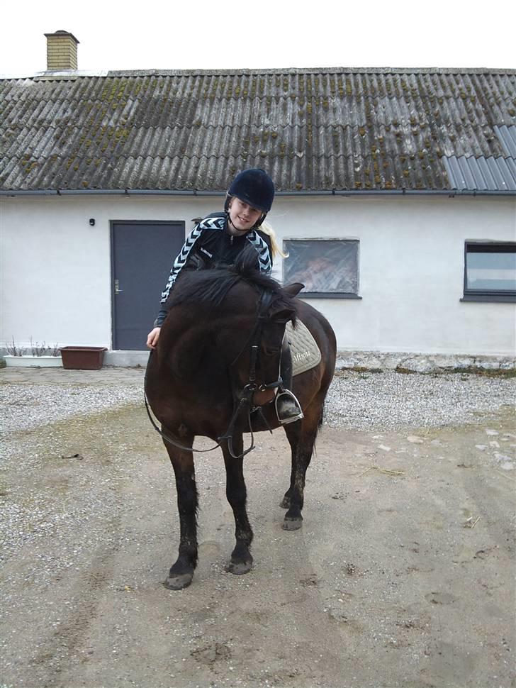 Anden særlig race Mischa - 2010 billede 1