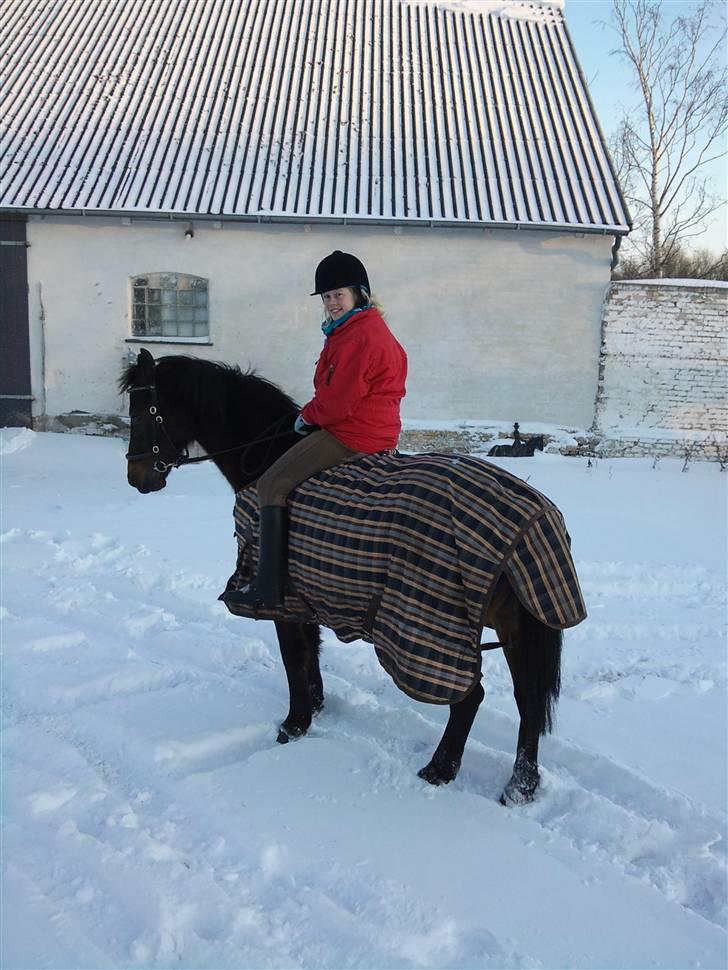 Anden særlig race Mischa - 2010 billede 11