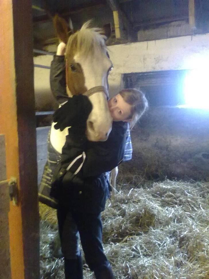 Anden særlig race Canupa billede 7