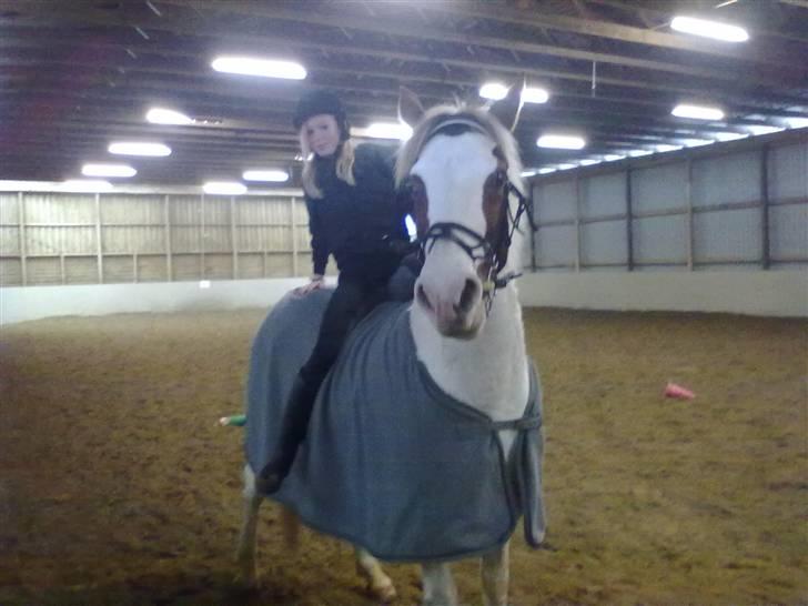 Anden særlig race Canupa billede 8