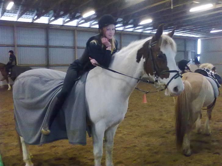 Anden særlig race Canupa billede 9