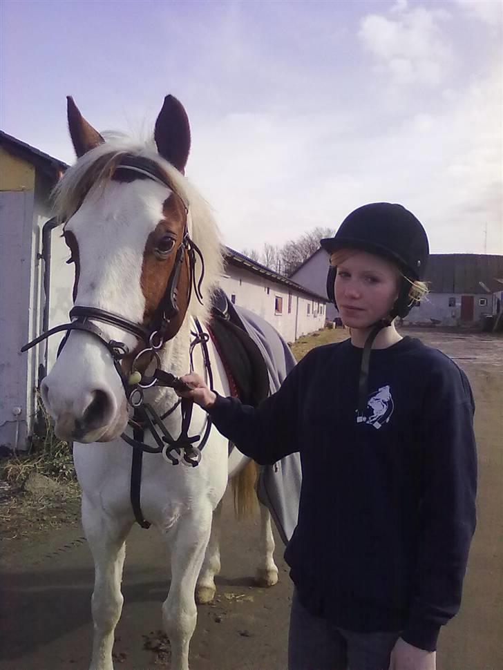 Anden særlig race Canupa billede 10