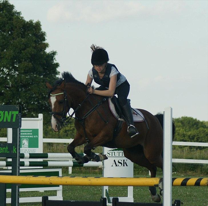 DSP Emilia's Grevenrit  - 17) Mille til undervisning billede 17