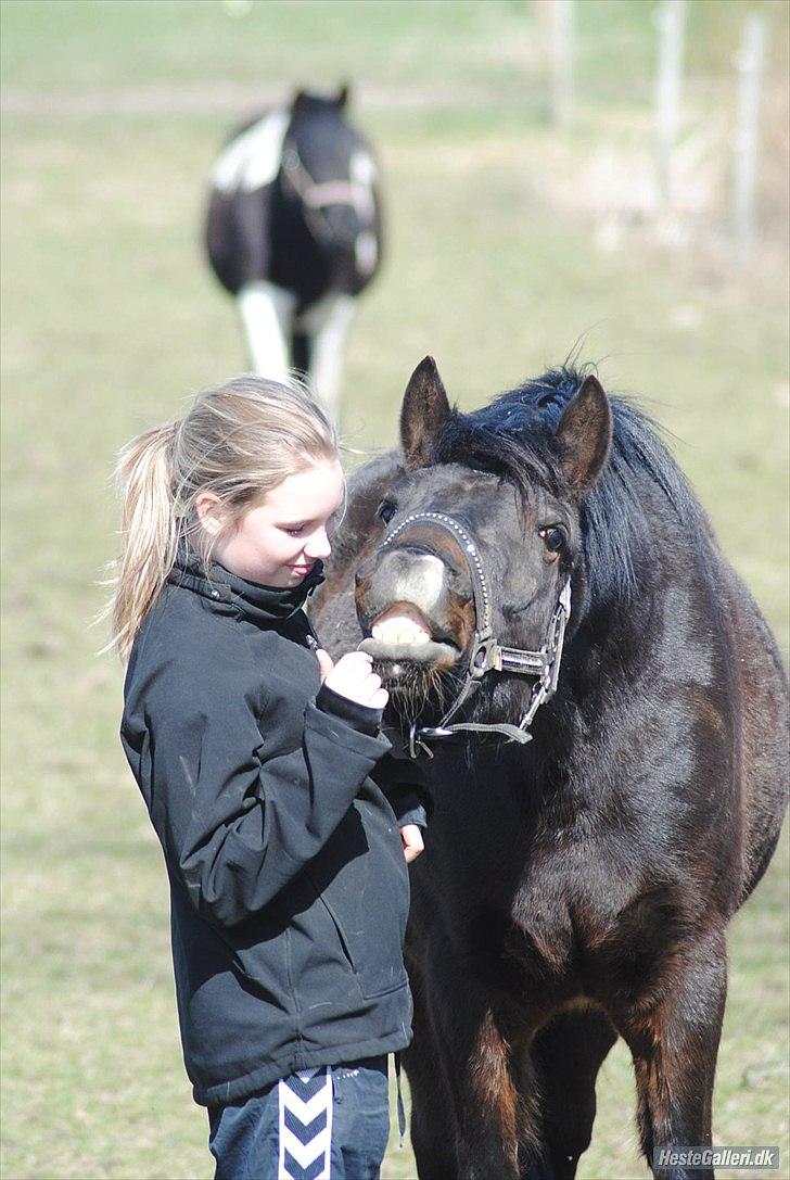 DSP DiNozzo IWE. - Forår 2011. <3 billede 22