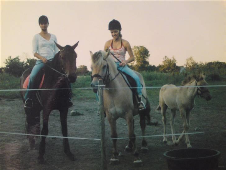 Anden særlig race Salima (solgt)  - Luka, malou, salima.. cecilie og mig hjemme på gården.   2006 billede 4