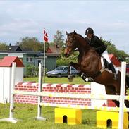 Fuldblod (XX) Tee-Off solgt