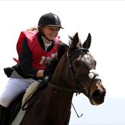 Fuldblod (XX) Tee-Off solgt