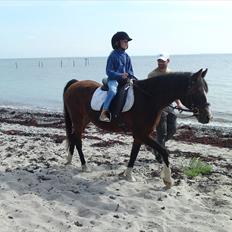 DSP Bitten Firhøj #Pension# 