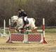 Anden særlig race Wendy B-pony :* 