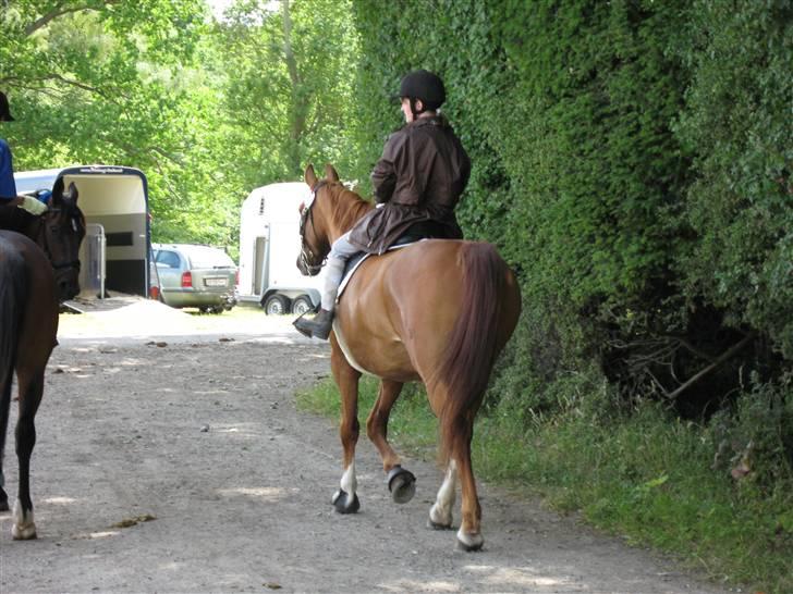 Frederiksborg Corina Birkedal billede 4