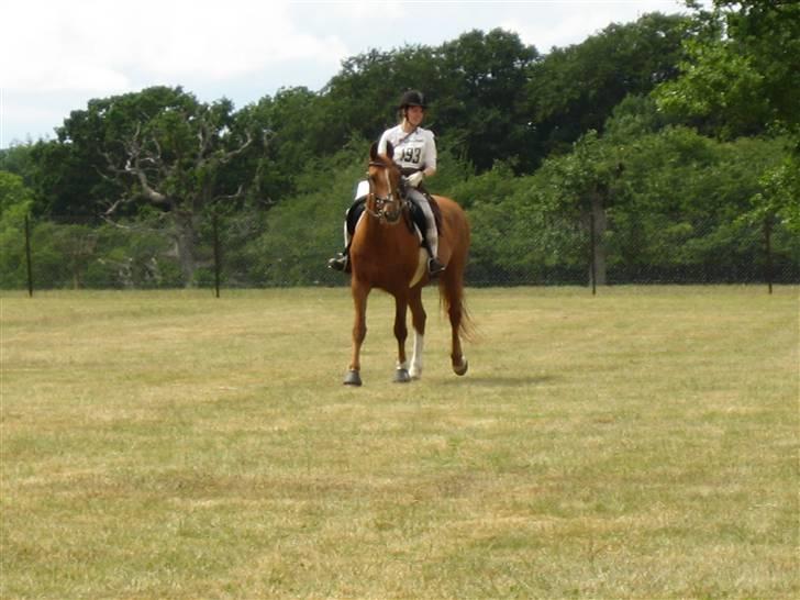 Frederiksborg Corina Birkedal billede 5
