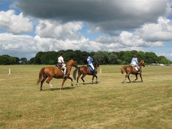 Frederiksborg Corina Birkedal billede 7