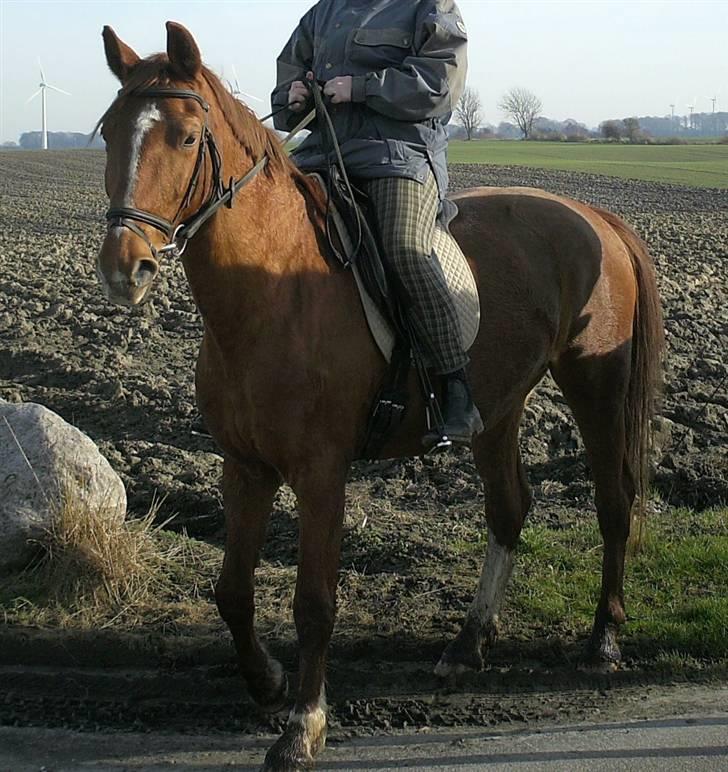 Frederiksborg Corina Birkedal billede 10