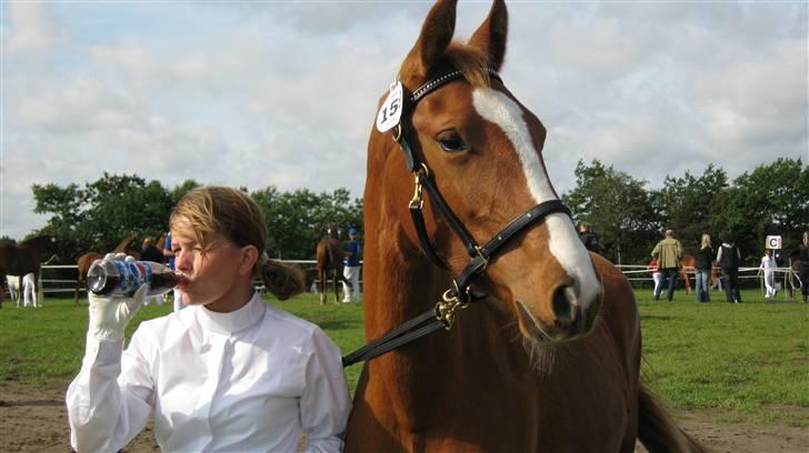Frederiksborg Mie Bøgelund billede 9
