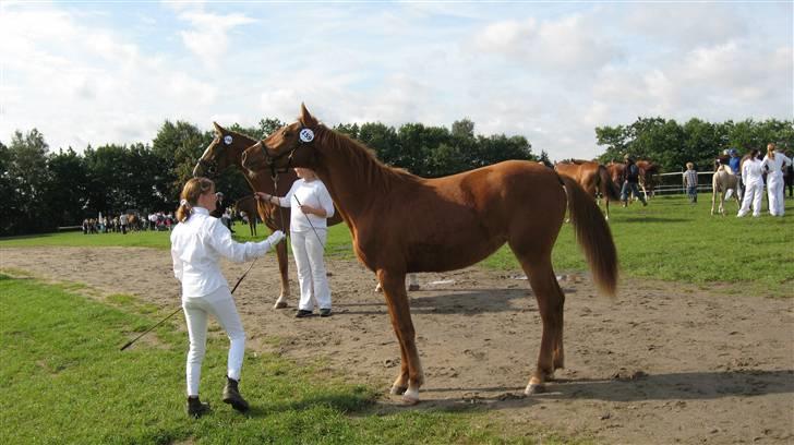 Frederiksborg Mie Bøgelund billede 12