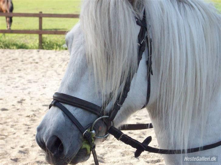 Anden særlig race Amy <3 tidl.part billede 1