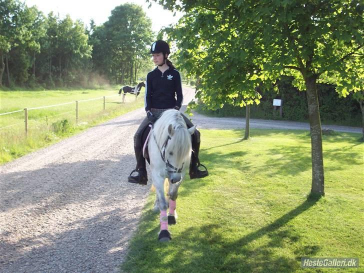 Anden særlig race Amy <3 tidl.part billede 3