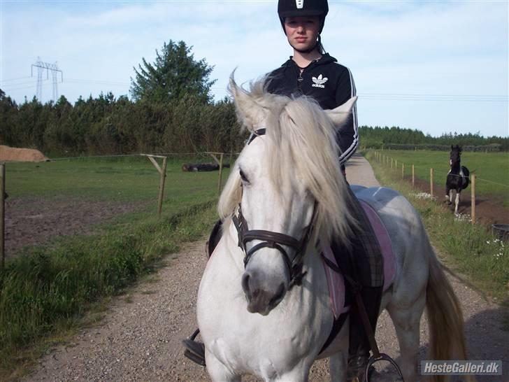 Anden særlig race Amy <3 tidl.part billede 4