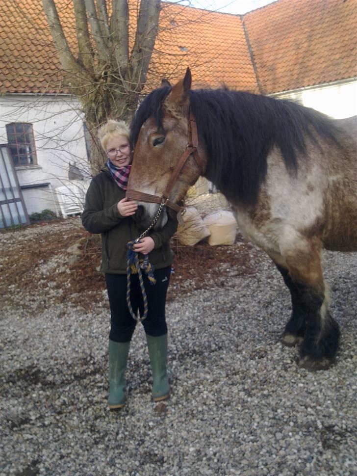 Belgier mathilde a frømajgård rip billede 10