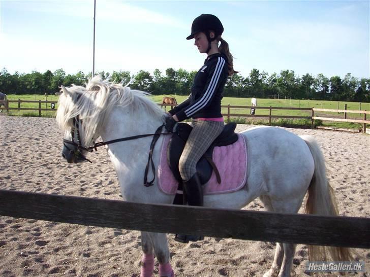 Anden særlig race Amy <3 tidl.part billede 5