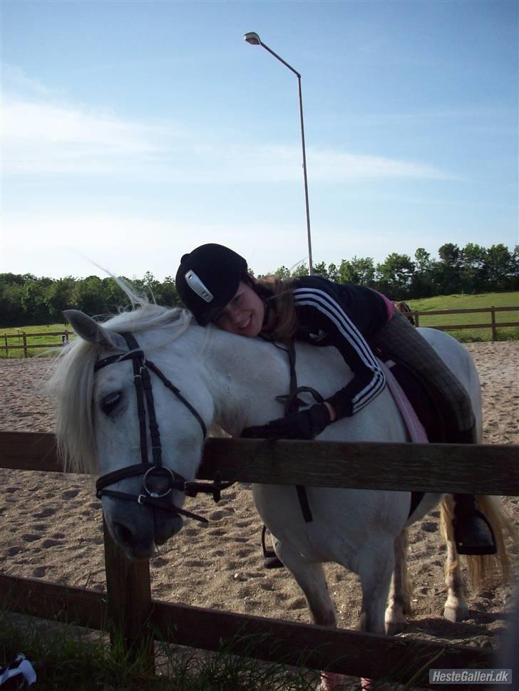 Anden særlig race Amy <3 tidl.part billede 6