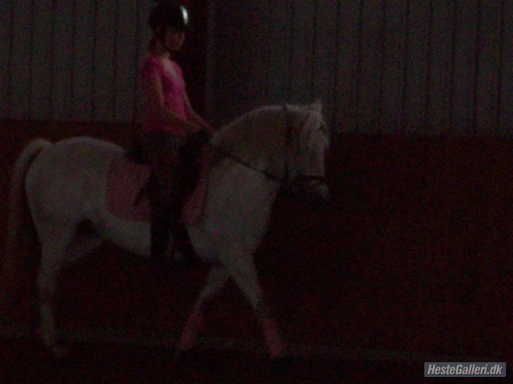 Anden særlig race Amy <3 tidl.part - Undervisning Hos sahra Henriksen billede 7