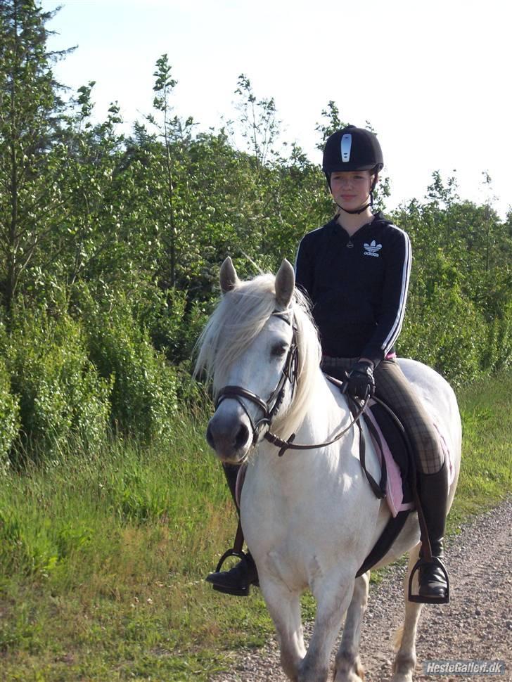 Anden særlig race Amy <3 tidl.part billede 8