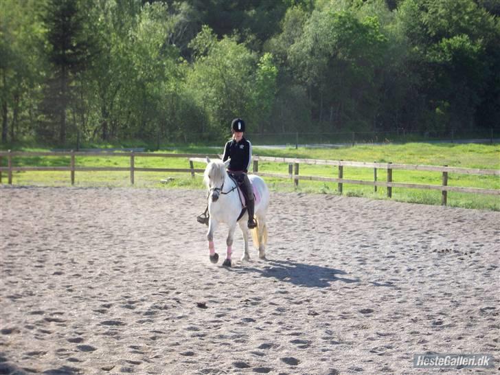 Anden særlig race Amy <3 tidl.part billede 9