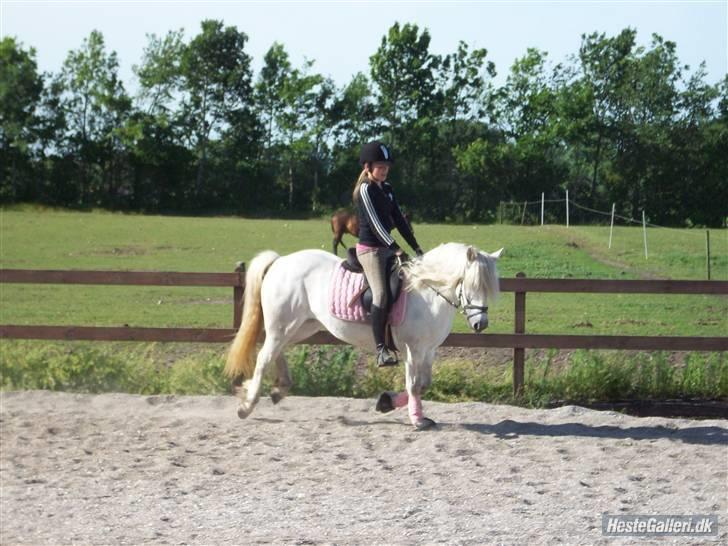 Anden særlig race Amy <3 tidl.part billede 10