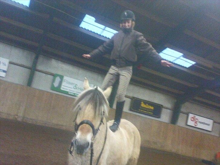 Fjordhest Rico *X-Part* - Uha, vi er da så dygtige! xD<3 *Faldt af på et tidspunkt?* ~ Foto: Lotte R.N billede 2