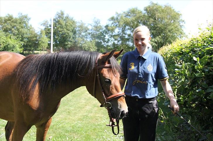 Pinto Dark Daimond<3 billede 12