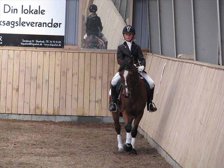 New Forest diana's crack - velkomme til dianas crack profil <3  billede 2