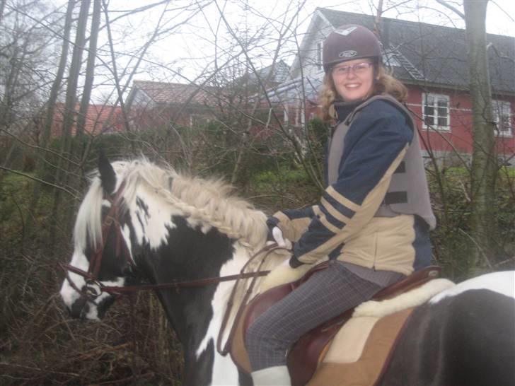 Barockpinto Big Ben R.I.P - Første gang jeg red ham :D billede 13