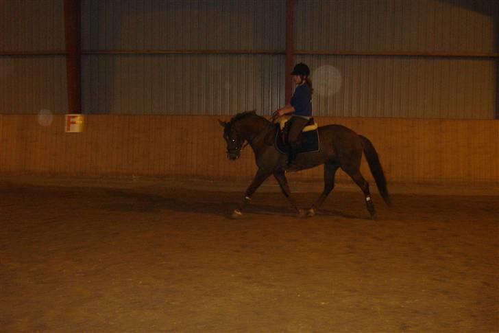 DSP Cirkeline - Se da lige den lækre pony (; Dressurundervisning billede 8