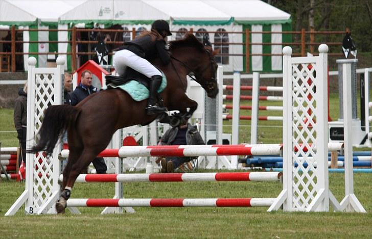 DSP Cirkeline - LB på Mors (; Hun er jo flyvende, tjek lig forbenene  billede 9