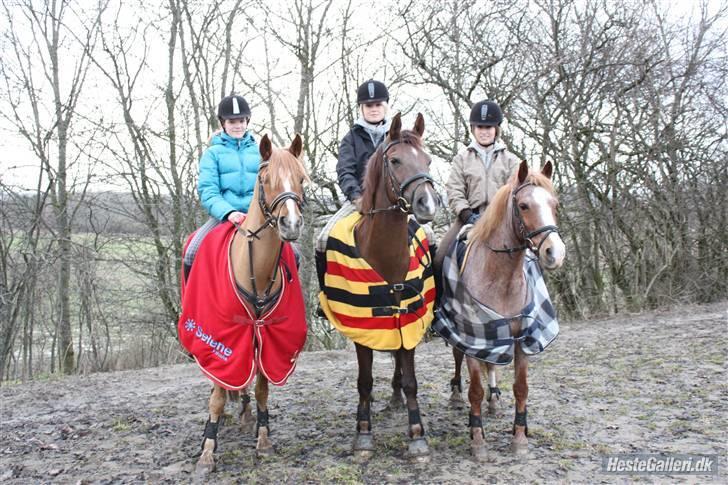 DSP Cirkeline - Sofie og Buster, Julie og Cirkeline og Tina og Mario (: billede 10