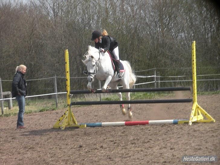 Anden særlig race Wendy B-pony :*  - Opvarmning til LB i Kærbo- 2.plads billede 5