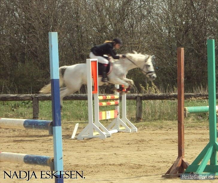 Anden særlig race Wendy B-pony :*  - I love youu My Princess<3 billede 9