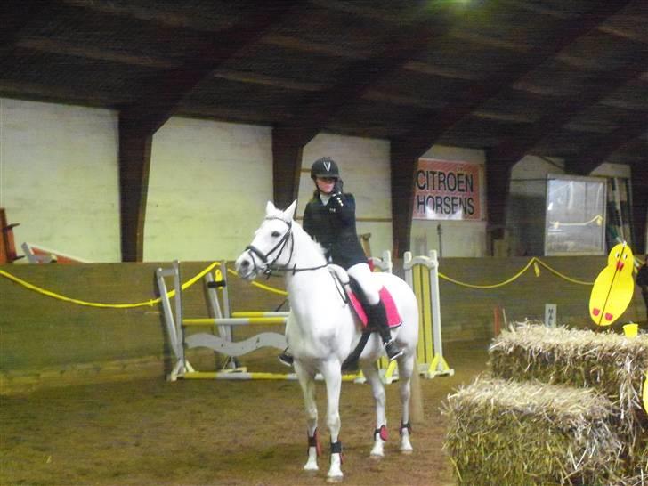 Anden særlig race Wendy B-pony :*  - Præmie overrækkelse i Horsens LB <3  Vandt klassen billede 11