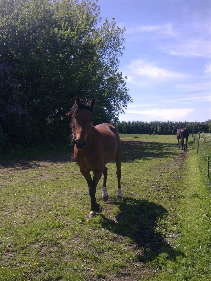 Traver | Kiara <3 *Part* - Tak fordi i kiggede med <3 billede 20