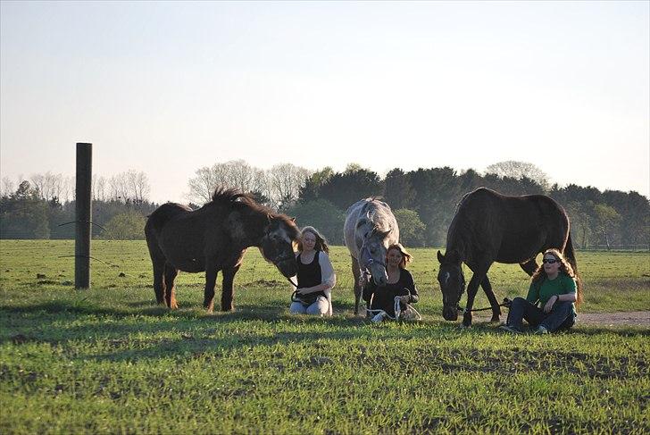 Traver | Sammy <3 *helpart* - Thats life ! <3 6 skønheder foto: selvudløser billede 18