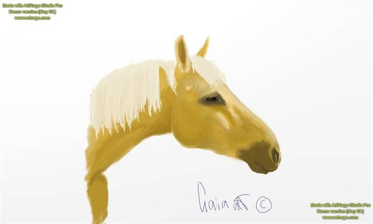 Palomino Bornhorse Pelle - tegnet på ArtRage 3 af mig (: billede 12