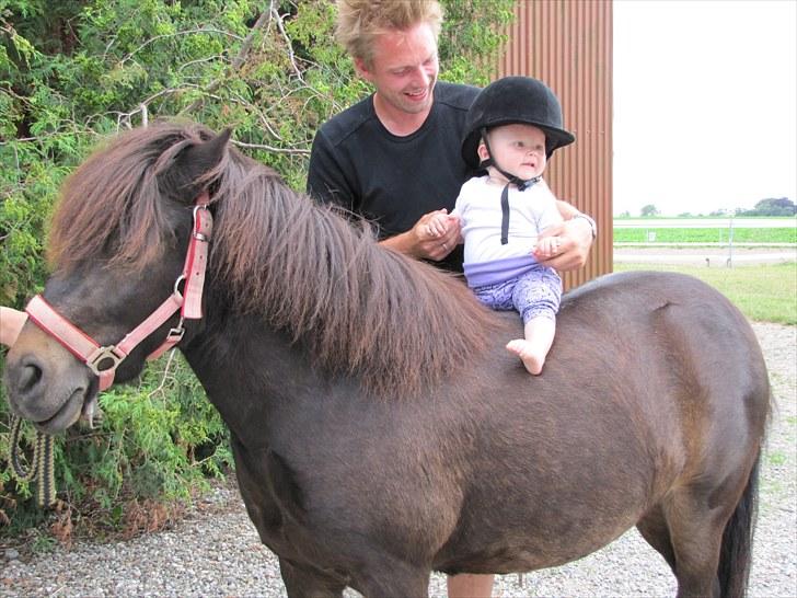 Anden særlig race Buller - Mille er lige ude og ride på Buller:D foto: Anne billede 18