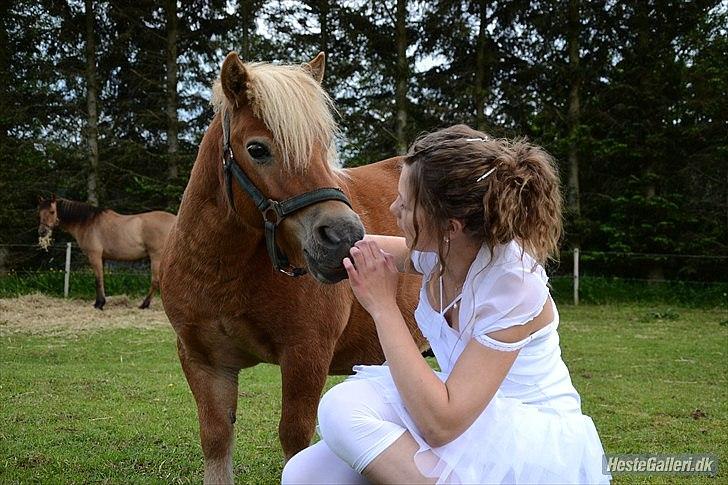 Shetlænder Okkermand - Intet offer er stort nok, når det gælder venskab. You are my everthing <3


Maria G
 billede 19