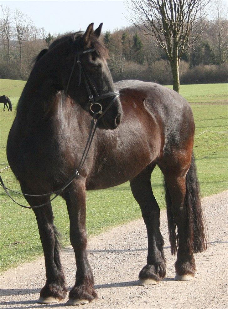 Frieser Altruida K. - Målet er intet, vejen er alt! :* 
Juni 2011 billede 7