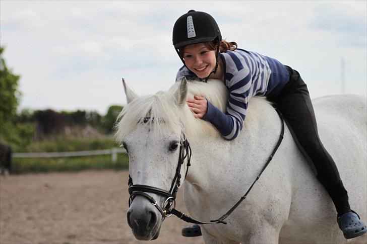 New Forest Lundemarksgårds Scarlet O'hara - Da Scarlet var i fol, og vi bare skridtede ture og hyggede, 2010. billede 7