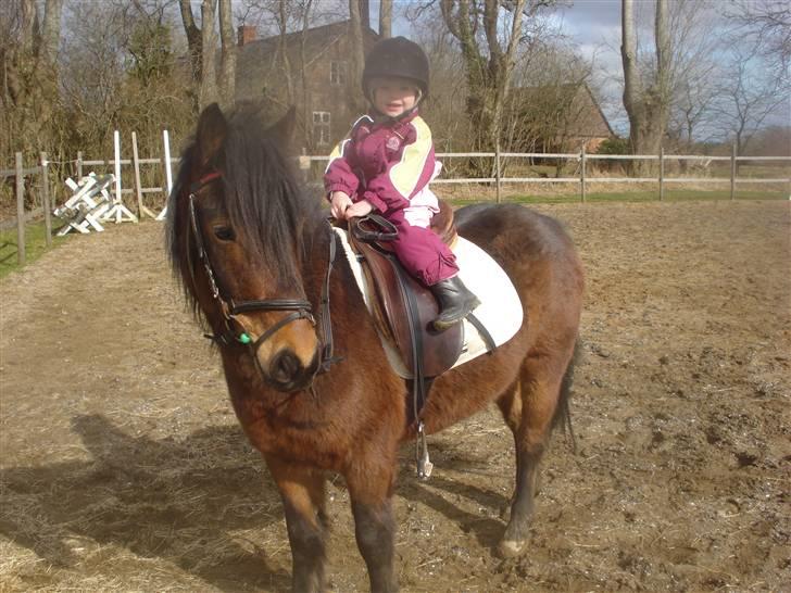 Anden særlig race Magnum.. billede 18