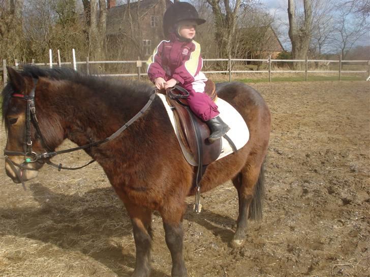 Anden særlig race Magnum.. billede 19