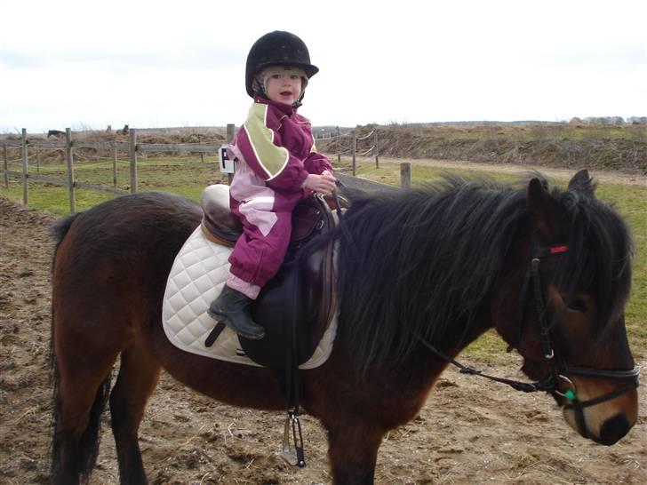 Anden særlig race Magnum.. billede 20